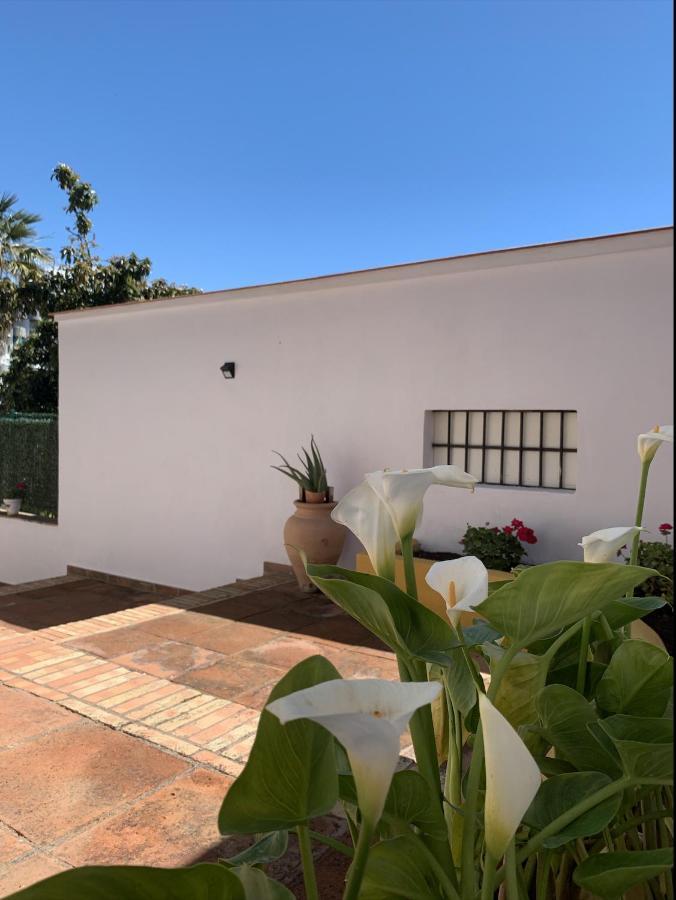 A Estrenar Preciosa Suite-Centrico-Con Jardin Y Porche Torremolinos Luaran gambar